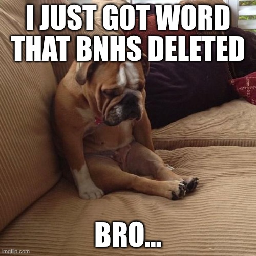 bulldogsad | I JUST GOT WORD THAT BNHS DELETED; BRO... | image tagged in bulldogsad | made w/ Imgflip meme maker