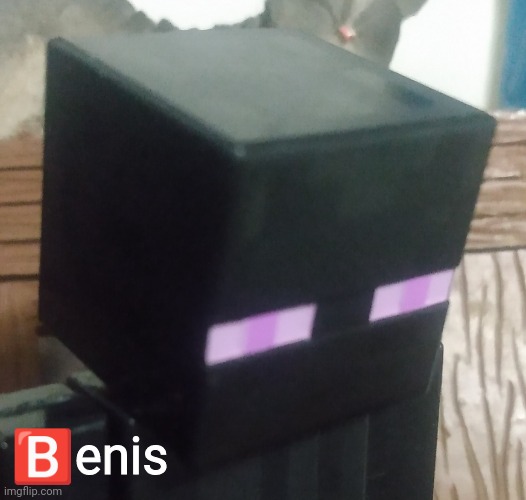 Enderman stare | 🅱️enis | image tagged in enderman stare | made w/ Imgflip meme maker