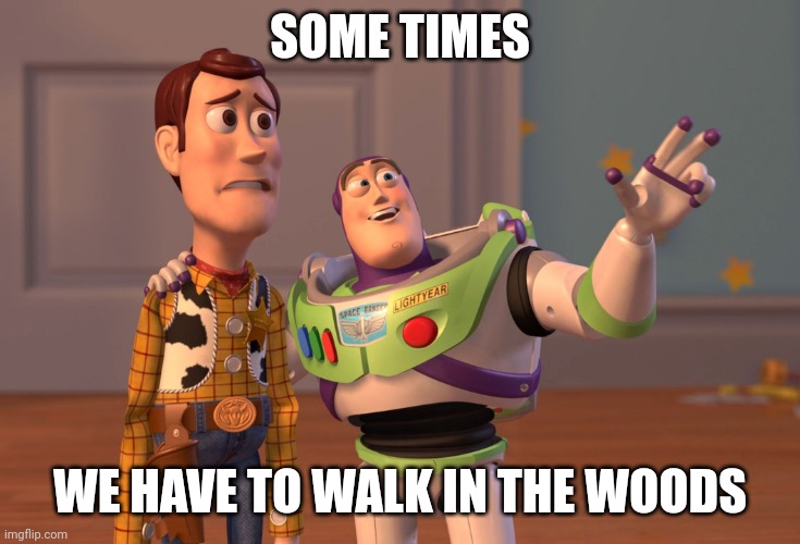 Dad's influence | SOME TIMES; WE HAVE TO WALK IN THE WOODS | image tagged in memes,x x everywhere | made w/ Imgflip meme maker