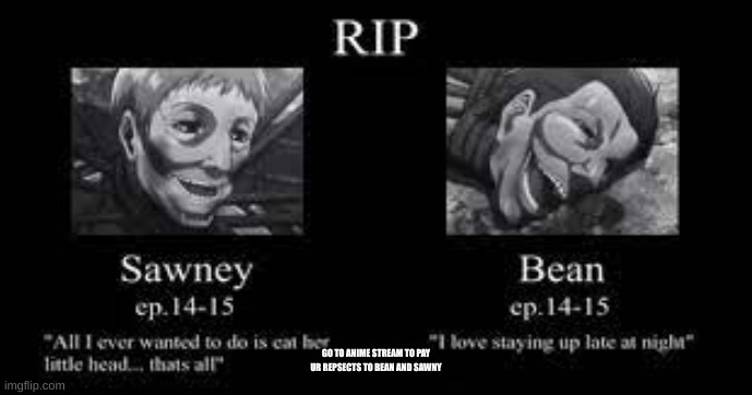 RIP MR BEAN | GO TO ANIME STREAM TO PAY UR REPSECTS TO BEAN AND SAWNY | image tagged in rip mr bean | made w/ Imgflip meme maker