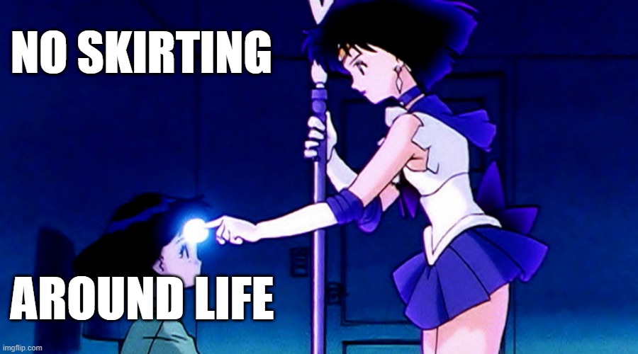 Skirting around or not | NO SKIRTING; AROUND LIFE | image tagged in sailor saturn,skirt,little girl,the future | made w/ Imgflip meme maker