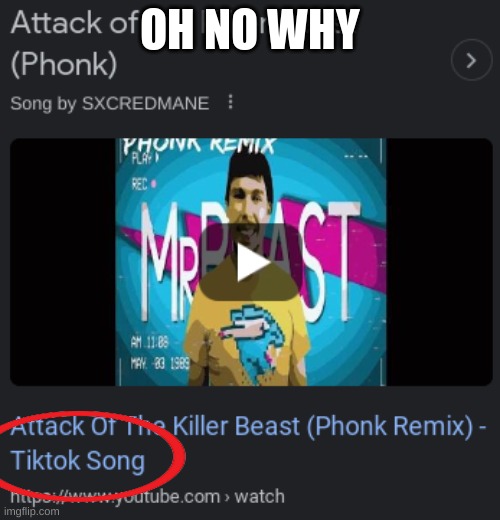 That song was NOT from tik tok | OH NO WHY | image tagged in why | made w/ Imgflip meme maker