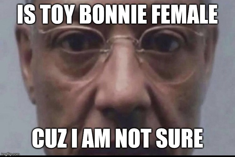 Take that back | IS TOY BONNIE FEMALE; CUZ I AM NOT SURE | image tagged in take that back | made w/ Imgflip meme maker