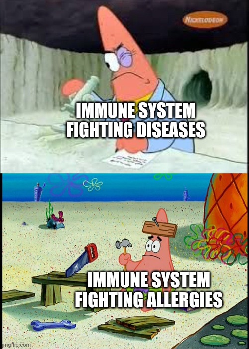 Making this meme as i'm suffocating thanks to my allergy towards dust | IMMUNE SYSTEM FIGHTING DISEASES; IMMUNE SYSTEM FIGHTING ALLERGIES | image tagged in patrick smart dumb | made w/ Imgflip meme maker