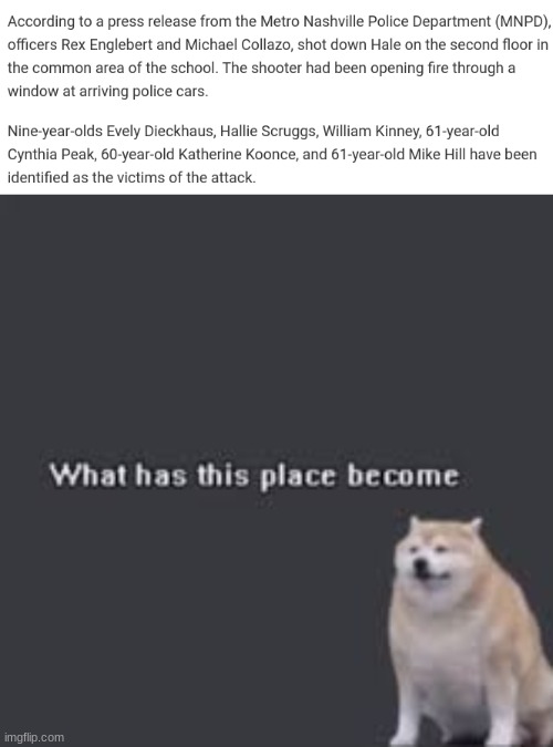 image tagged in what has this place become | made w/ Imgflip meme maker