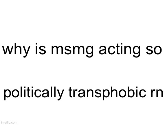 a | why is msmg acting so; politically transphobic rn | image tagged in blank white template | made w/ Imgflip meme maker