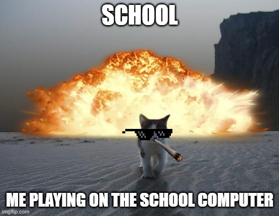 cat explosion | SCHOOL; ME PLAYING ON THE SCHOOL COMPUTER | image tagged in cat explosion | made w/ Imgflip meme maker