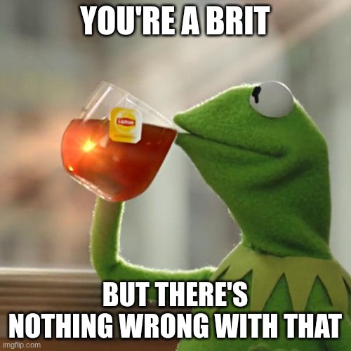 But That's None Of My Business Meme | YOU'RE A BRIT BUT THERE'S NOTHING WRONG WITH THAT | image tagged in memes,but that's none of my business,kermit the frog | made w/ Imgflip meme maker