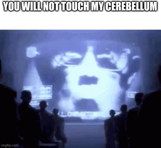 1984 gif | YOU WILL NOT TOUCH MY CEREBELLUM | image tagged in 1984 gif | made w/ Imgflip meme maker