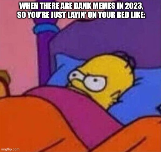 There are no dank memes | WHEN THERE ARE DANK MEMES IN 2023, SO YOU'RE JUST LAYIN' ON YOUR BED LIKE: | image tagged in more memes,dank memes,disappointment,dude,angry homer simpson in bed | made w/ Imgflip meme maker