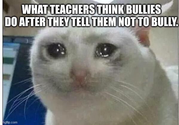Why Do Teachers Still Think This | WHAT TEACHERS THINK BULLIES DO AFTER THEY TELL THEM NOT TO BULLY. | image tagged in crying cat | made w/ Imgflip meme maker