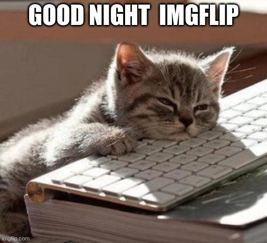 tired cat | GOOD NIGHT  IMGFLIP | image tagged in tired cat | made w/ Imgflip meme maker