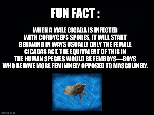 WARNING : EXTREMELY POLITICAL | FUN FACT :; WHEN A MALE CICADA IS INFECTED WITH CORDYCEPS SPORES, IT WILL START BEHAVING IN WAYS USUALLY ONLY THE FEMALE CICADAS ACT. THE EQUIVALENT OF THIS IN THE HUMAN SPECIES WOULD BE FEMBOYS—BOYS WHO BEHAVE MORE FEMININELY OPPOSED TO MASCULINELY. | image tagged in politics,political | made w/ Imgflip meme maker