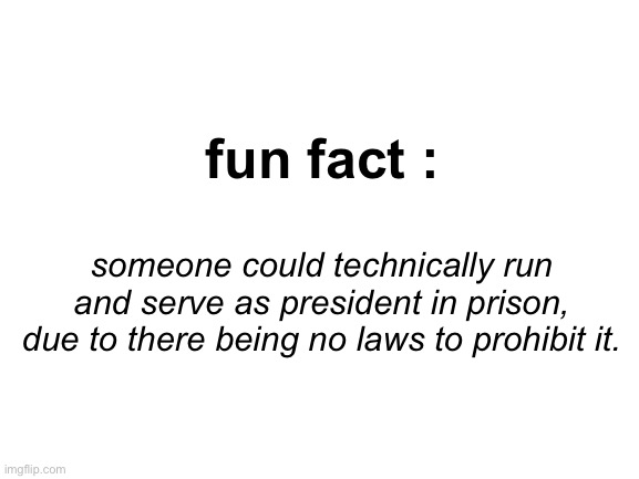 fun fact | fun fact :; someone could technically run and serve as president in prison, due to there being no laws to prohibit it. | image tagged in politics | made w/ Imgflip meme maker