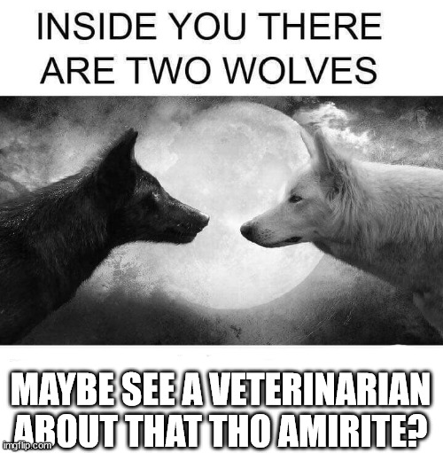 Two Wolves | MAYBE SEE A VETERINARIAN ABOUT THAT THO AMIRITE? | image tagged in inside you there are two wolves | made w/ Imgflip meme maker