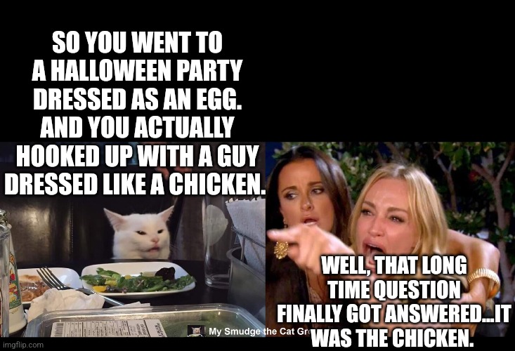 SO YOU WENT TO A HALLOWEEN PARTY DRESSED AS AN EGG. AND YOU ACTUALLY HOOKED UP WITH A GUY DRESSED LIKE A CHICKEN. WELL, THAT LONG TIME QUESTION FINALLY GOT ANSWERED...IT WAS THE CHICKEN. | image tagged in smudge the cat | made w/ Imgflip meme maker