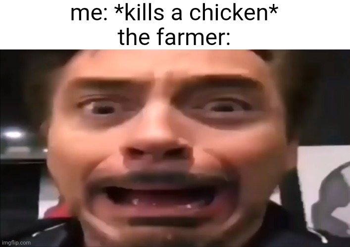 Robert Downey Jr Screaming | me: *kills a chicken*
the farmer: | image tagged in robert downey jr screaming,minecraft memes,chicken,farmer | made w/ Imgflip meme maker