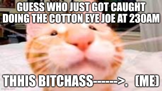 my dad is disapointed. | GUESS WHO JUST GOT CAUGHT DOING THE COTTON EYE JOE AT 230AM; THHIS BITCHASS------>.   (ME) | image tagged in my dog is extra crunchy and has diarrhea | made w/ Imgflip meme maker