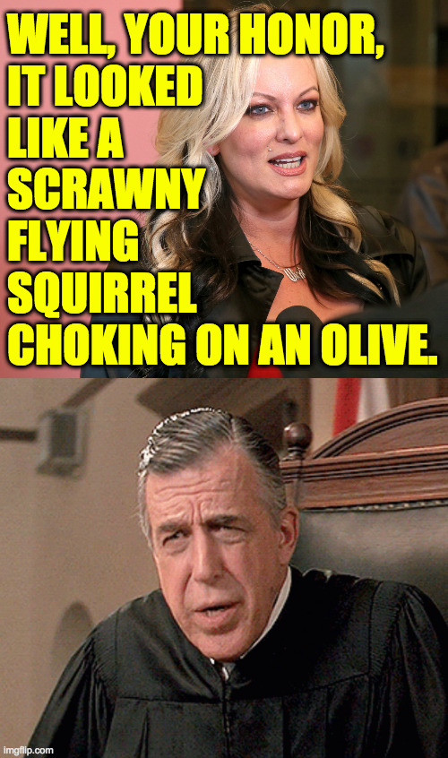 And how did that look to you, Miss Daniels? | WELL, YOUR HONOR,
IT LOOKED
LIKE A
SCRAWNY
FLYING
SQUIRREL
CHOKING ON AN OLIVE. | image tagged in memes,trump trial,testimony | made w/ Imgflip meme maker