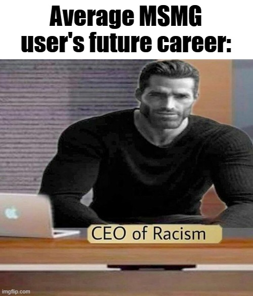 I'm kidding ofc. There can only be one CEO, and that's going to be me | Average MSMG user's future career: | image tagged in ceo of racism | made w/ Imgflip meme maker