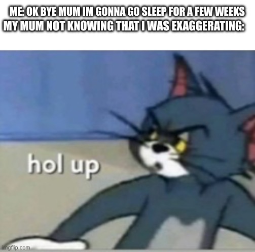 hol’ up | ME: OK BYE MUM IM GONNA GO SLEEP FOR A FEW WEEKS; MY MUM NOT KNOWING THAT I WAS EXAGGERATING: | image tagged in hol up | made w/ Imgflip meme maker