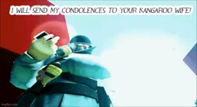 condolances to kangaroo wife | image tagged in condolances to kangaroo wife | made w/ Imgflip meme maker