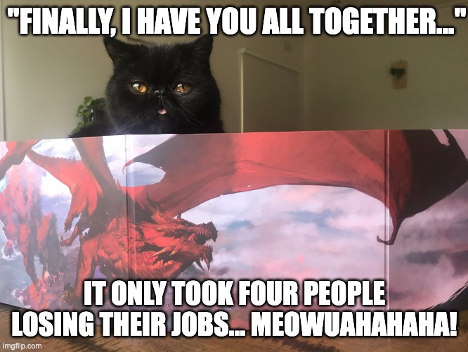 DnDCat | "FINALLY, I HAVE YOU ALL TOGETHER..."; IT ONLY TOOK FOUR PEOPLE LOSING THEIR JOBS... MEOWUAHAHAHA! | image tagged in dndcat | made w/ Imgflip meme maker