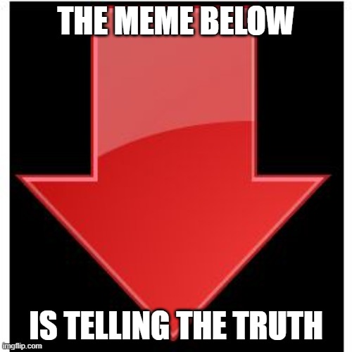 downvotes | THE MEME BELOW; IS TELLING THE TRUTH | image tagged in downvotes | made w/ Imgflip meme maker