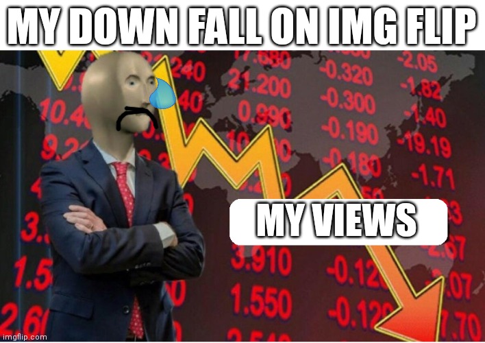 Pls I don't want to be a dead user | MY DOWN FALL ON IMG FLIP; MY VIEWS | image tagged in not stonks blank,memes,help me,stonks | made w/ Imgflip meme maker