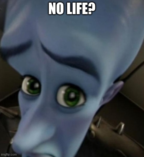 no life? | NO LIFE? | image tagged in megamind no bitches | made w/ Imgflip meme maker