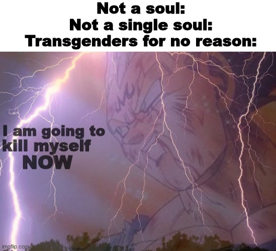 This is a joke | Not a soul:
Not a single soul:
Transgenders for no reason: | image tagged in i am going to kill myself,memes,shitpost,oh wow are you actually reading these tags,dark humor | made w/ Imgflip meme maker