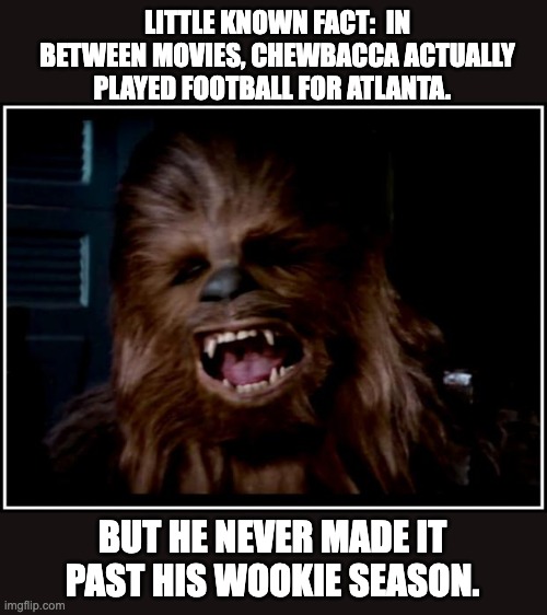 Wookie | LITTLE KNOWN FACT:  IN BETWEEN MOVIES, CHEWBACCA ACTUALLY PLAYED FOOTBALL FOR ATLANTA. BUT HE NEVER MADE IT PAST HIS WOOKIE SEASON. | image tagged in chewbacca | made w/ Imgflip meme maker