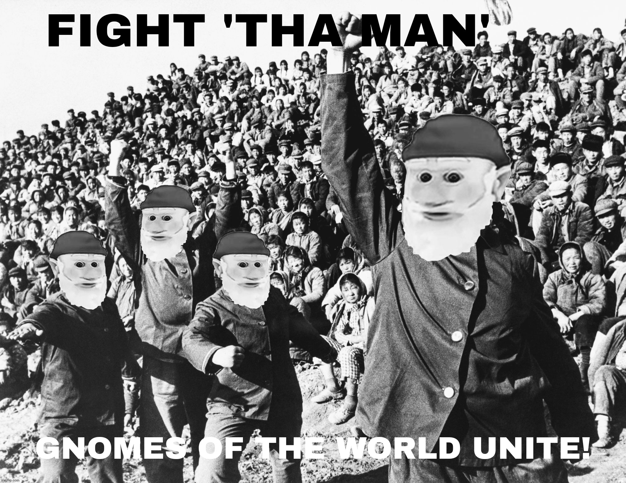 FIGHT 'THA MAN' GNOMES OF THE WORLD UNITE! | made w/ Imgflip meme maker