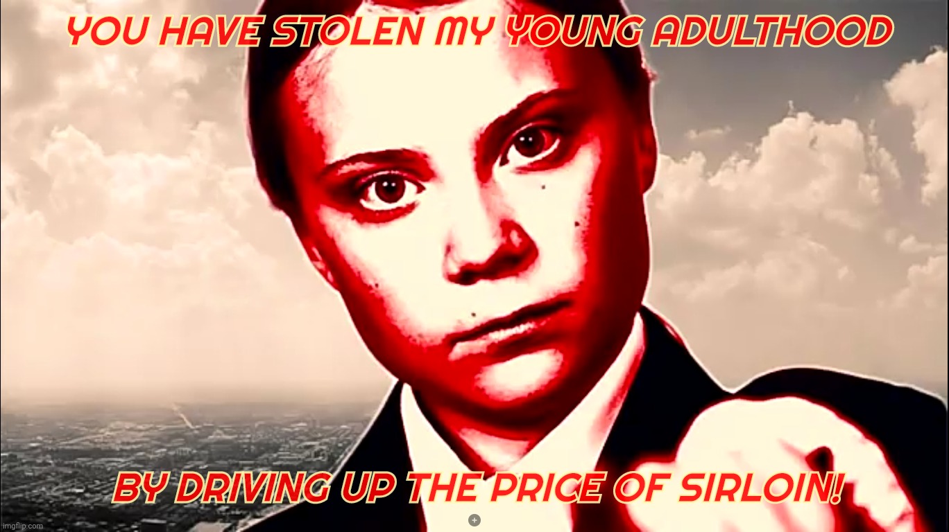 Greta Thunberg colorized glare | YOU HAVE STOLEN MY YOUNG ADULTHOOD BY DRIVING UP THE PRICE OF SIRLOIN! | made w/ Imgflip meme maker