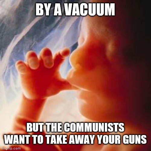 900 children are killed every day in America | BY A VACUUM; BUT THE COMMUNISTS WANT TO TAKE AWAY YOUR GUNS | image tagged in fetus,they,don't,care about you | made w/ Imgflip meme maker