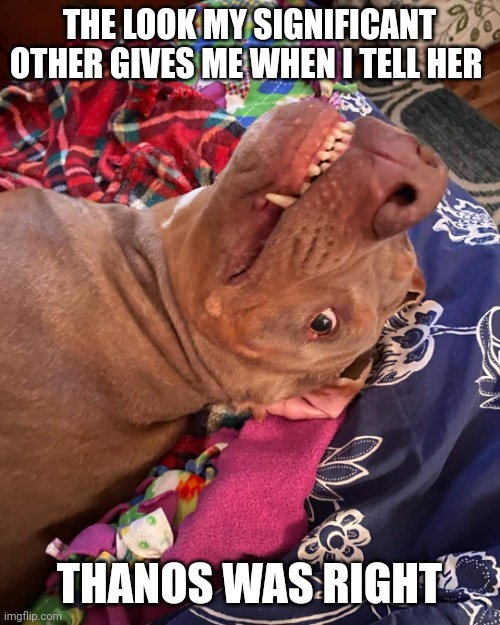 Thanos was right | THE LOOK MY SIGNIFICANT OTHER GIVES ME WHEN I TELL HER; THANOS WAS RIGHT | image tagged in true story dog | made w/ Imgflip meme maker