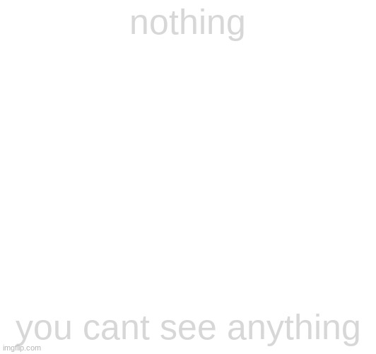 ummmmmmmmmmmmmmmmmmmmmmmmmmmm | nothing; you cant see anything | image tagged in nothing is here | made w/ Imgflip meme maker