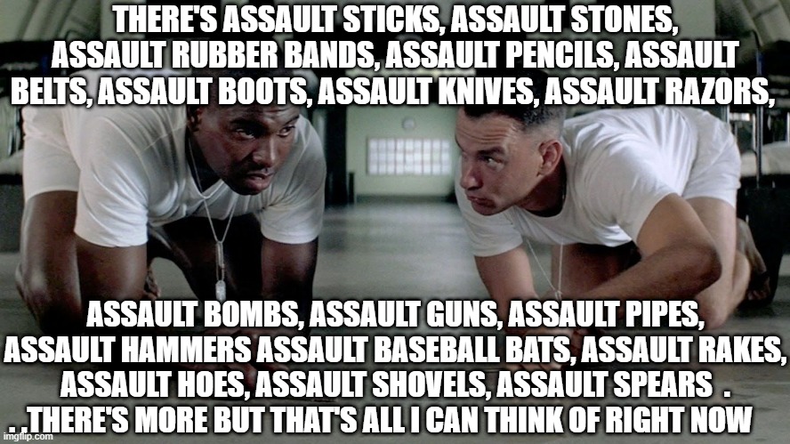 forrest and bubba | THERE'S ASSAULT STICKS, ASSAULT STONES, ASSAULT RUBBER BANDS, ASSAULT PENCILS, ASSAULT BELTS, ASSAULT BOOTS, ASSAULT KNIVES, ASSAULT RAZORS, | image tagged in forrest and bubba | made w/ Imgflip meme maker