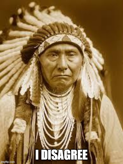 Native American | I DISAGREE | image tagged in native american | made w/ Imgflip meme maker
