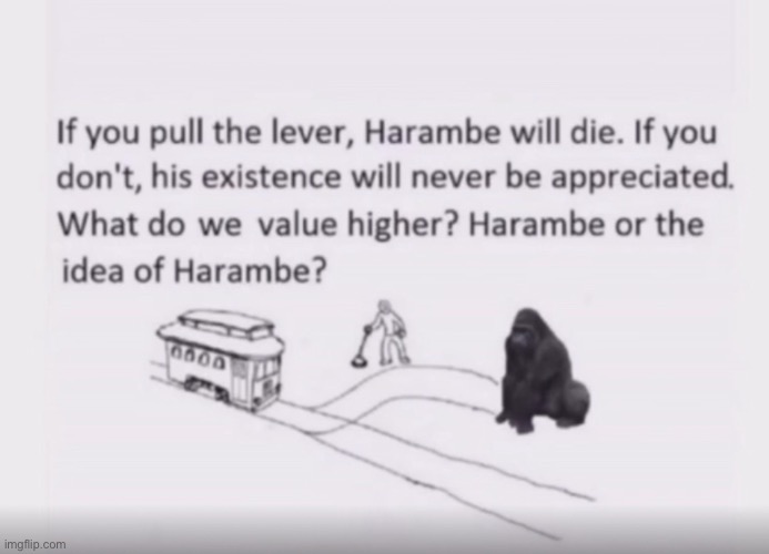 image tagged in funny memes | made w/ Imgflip meme maker