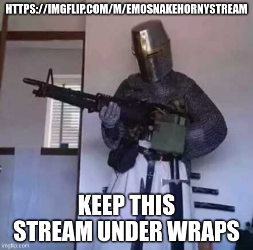 The mods there do have a tendency to break Tos | HTTPS://IMGFLIP.COM/M/EMOSNAKEHORNYSTREAM; KEEP THIS STREAM UNDER WRAPS | image tagged in crusader knight with m60 machine gun | made w/ Imgflip meme maker
