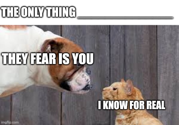 Video game ost | THE ONLY THING ______________; THEY FEAR IS YOU; I KNOW FOR REAL | image tagged in dog cat staredown | made w/ Imgflip meme maker