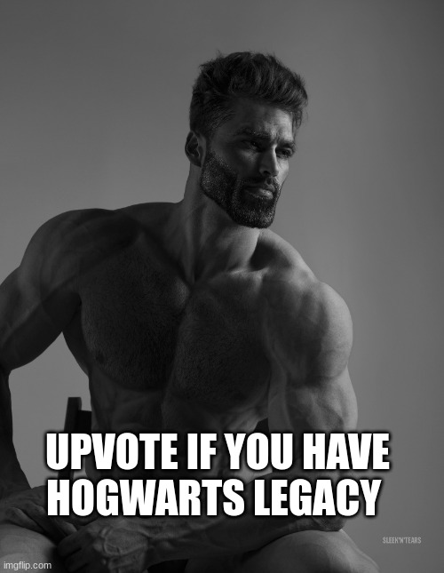 Image Title | UPVOTE IF YOU HAVE    HOGWARTS LEGACY | image tagged in giga chad | made w/ Imgflip meme maker