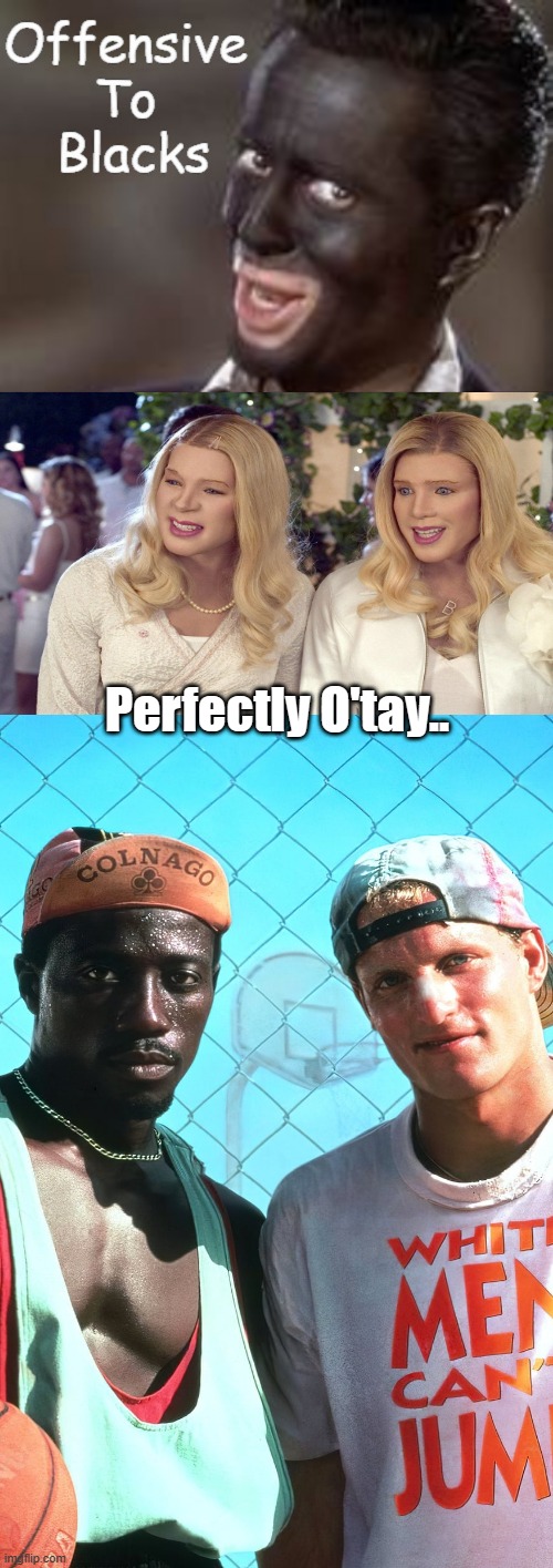 Perfectly O'tay.. | image tagged in democrats,racist | made w/ Imgflip meme maker