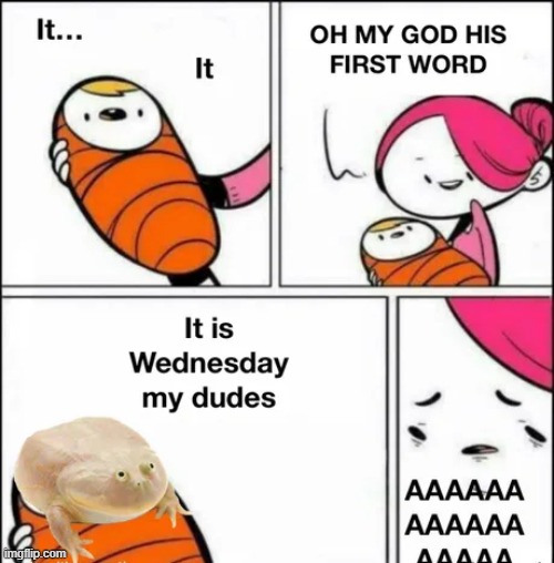 made w/ Imgflip meme maker