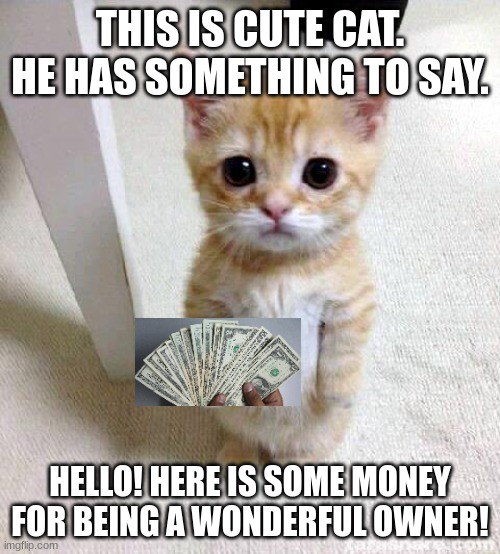 cat. | THIS IS CUTE CAT. HE HAS SOMETHING TO SAY. HELLO! HERE IS SOME MONEY FOR BEING A WONDERFUL OWNER! | image tagged in memes,cute cat | made w/ Imgflip meme maker