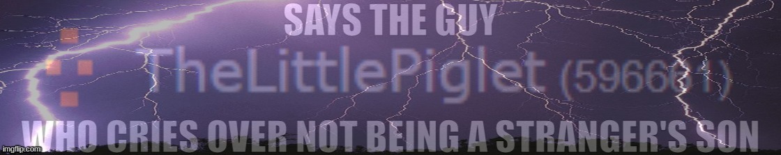 Says The Guy Who Cries Over Not Being A Stranger's Son | image tagged in says the guy who cries over not being a stranger's son | made w/ Imgflip meme maker