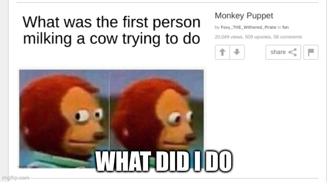 WHAT DID I DO | made w/ Imgflip meme maker