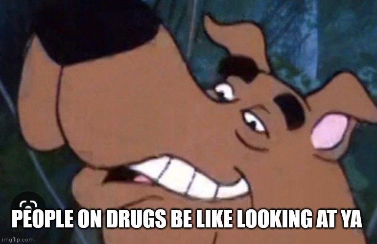 Just stay away there going to offer some to you | PEOPLE ON DRUGS BE LIKE LOOKING AT YA | image tagged in funny memes,scooby doo | made w/ Imgflip meme maker