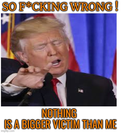 SO F*CKING WRONG ! NOTHING
 IS A BIGGER VICTIM THAN ME | made w/ Imgflip meme maker